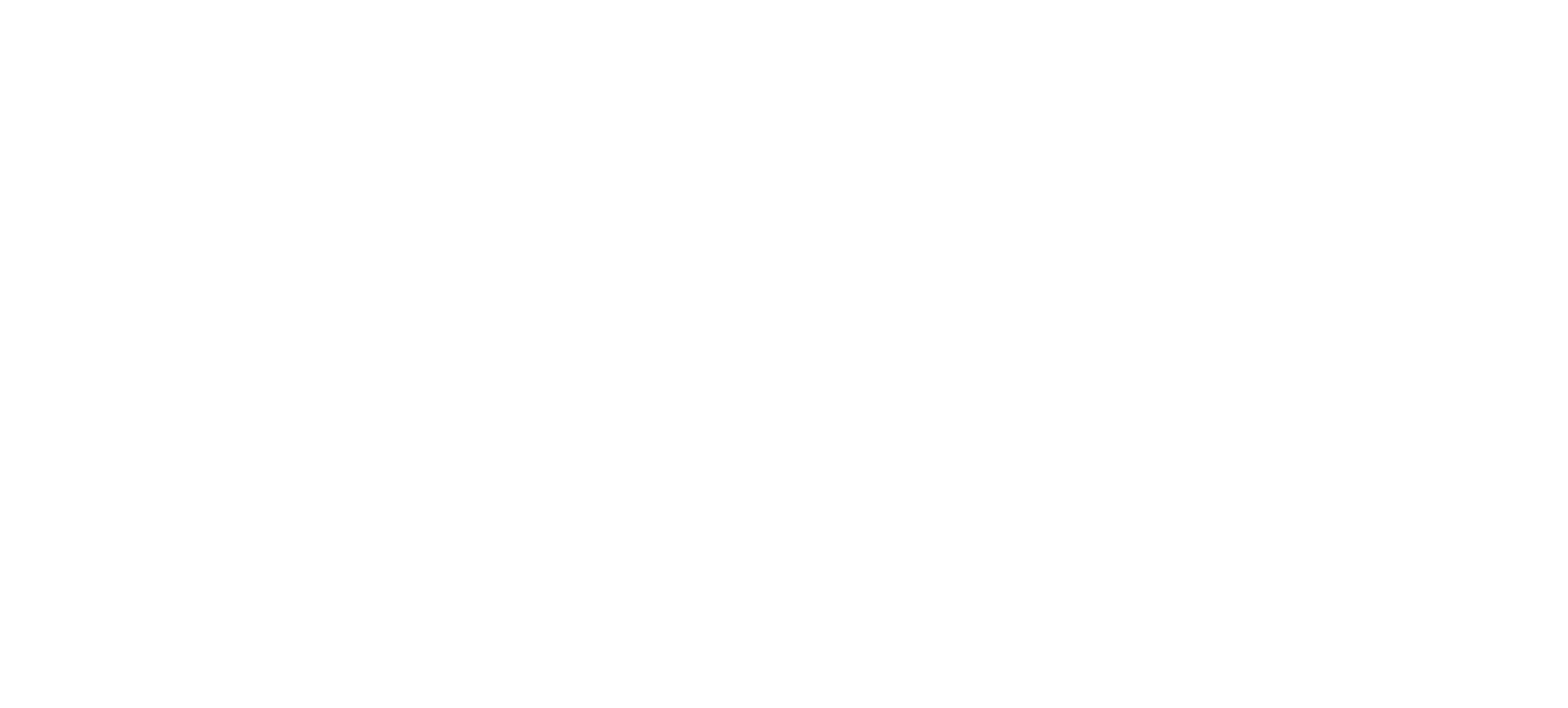 SF DocFest Official Selection